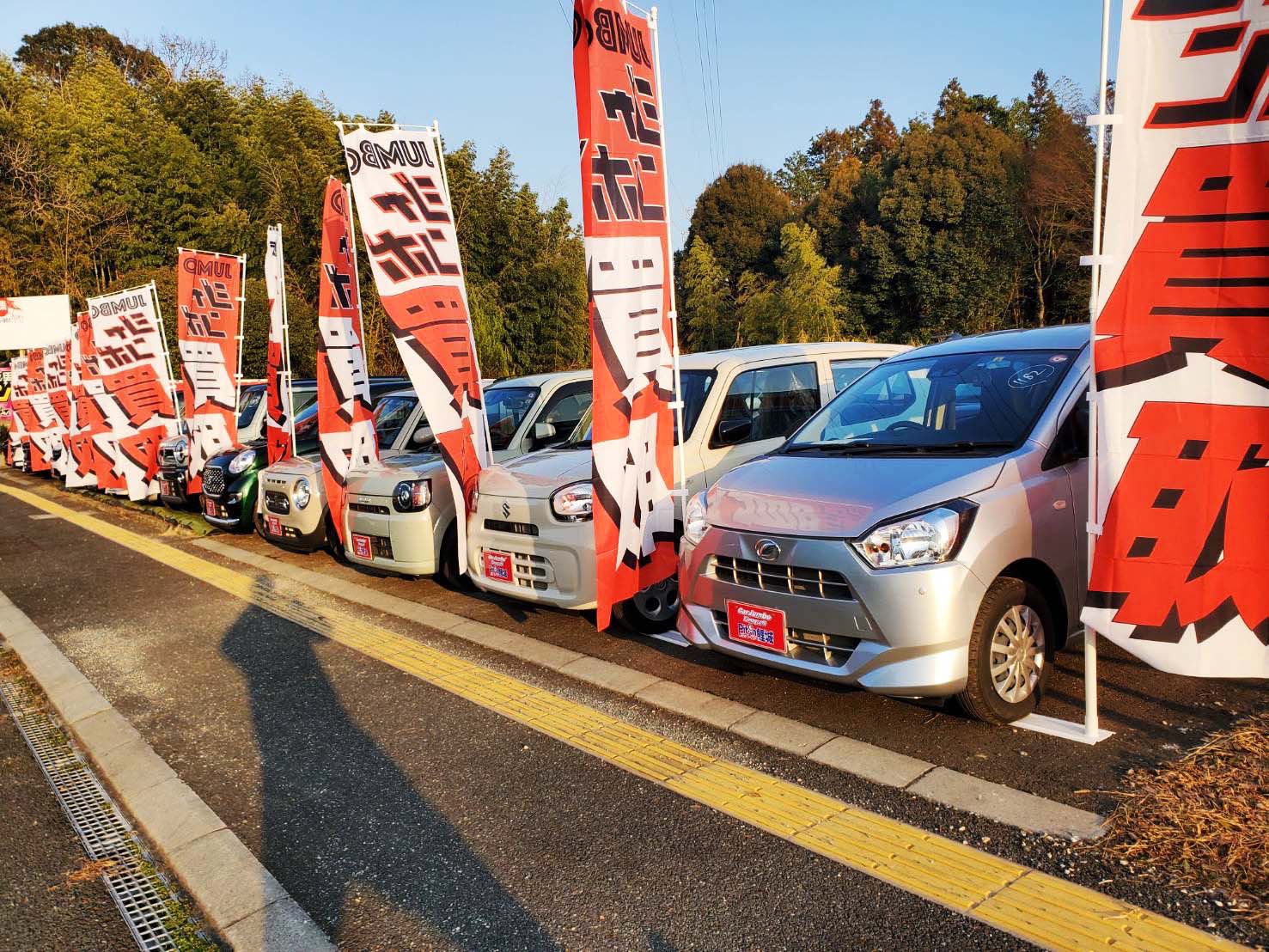 販売の車が並んでいる写真