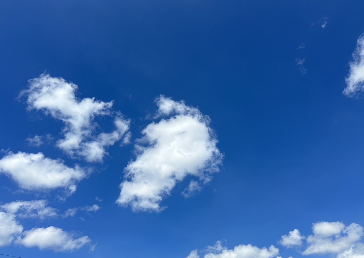 🌀台風はいかがでしたか？🌀