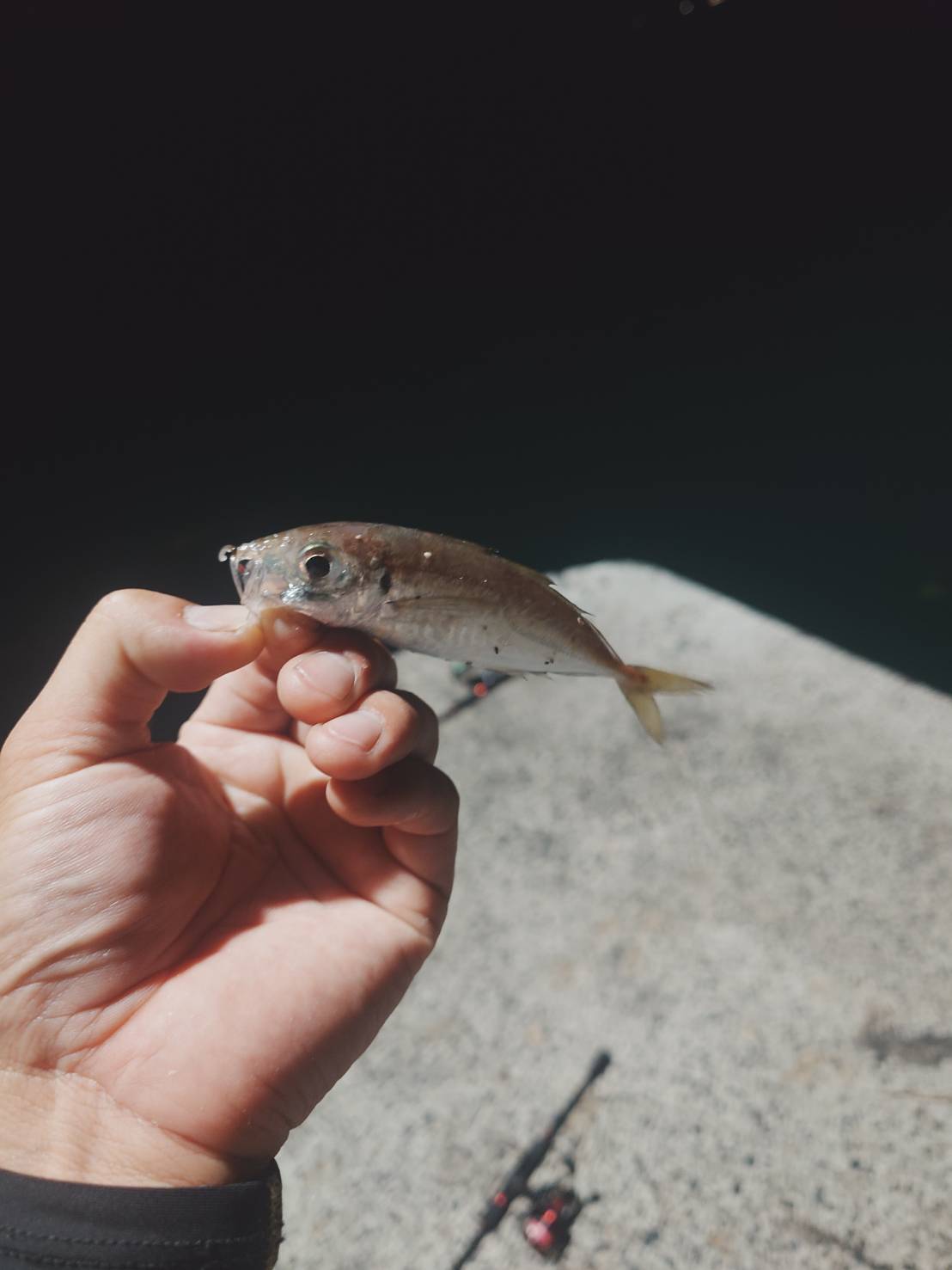 🎣スタッフの休日🎣