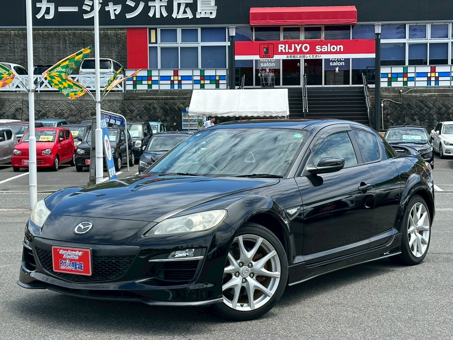 H21年式　マツダRX-8　タイプS　6MT　※HIDヘッドライト・社外ナビ・ETC・オートライト・オートエアコン・純正アルミ・リアスポイラー・シートヒーター・パワーシート・BOSEスピーカー【246】