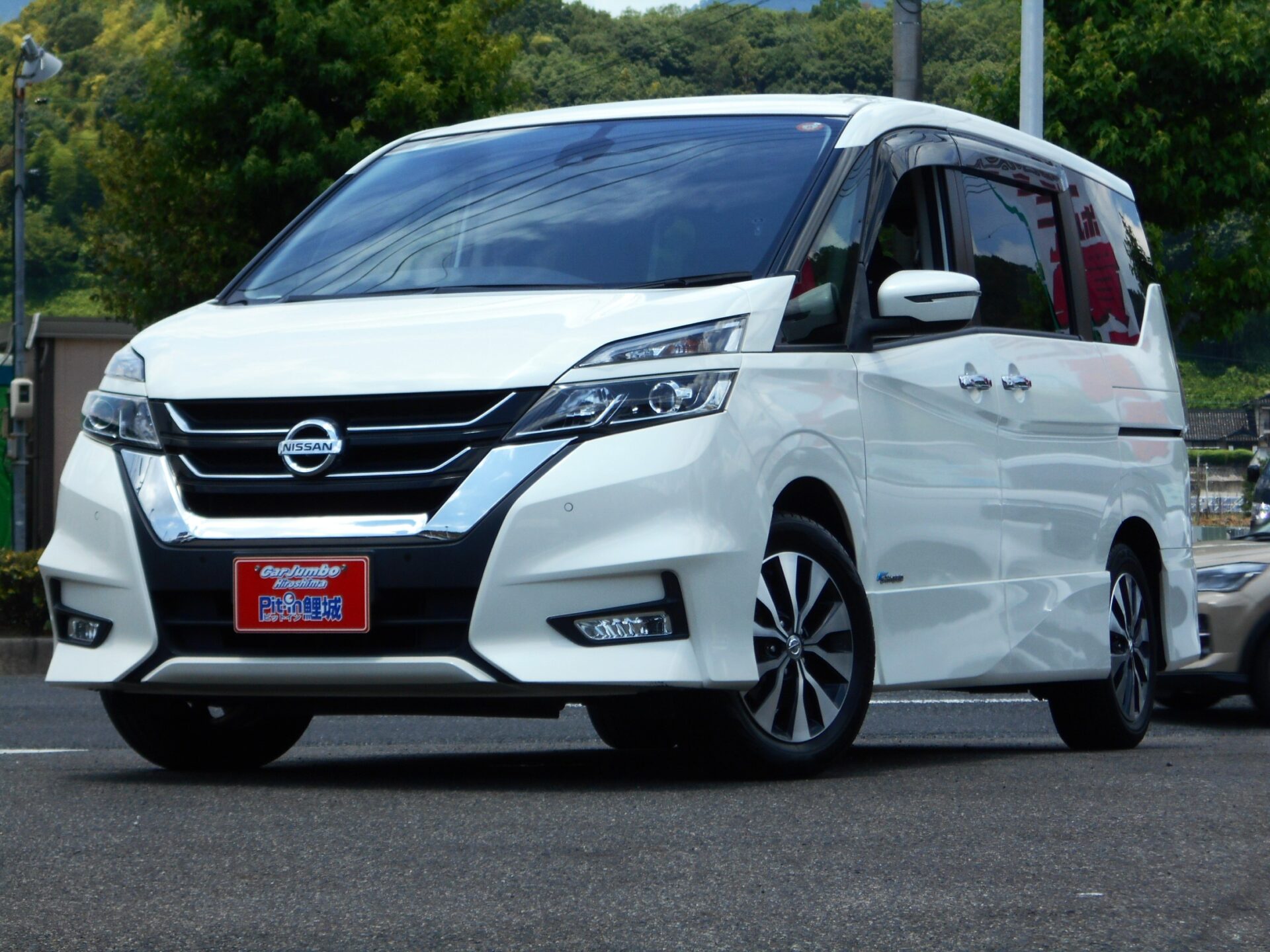 ２９年式　セレナハイウェイスタープロパイロットＥＤ　後席モニター　両面電動スライド　走行５６０００ｋｍ　純正９インチナビＴＶ　ＰＵＳＨキーレス　ＥＴＣ　純正１６アルミ　035052