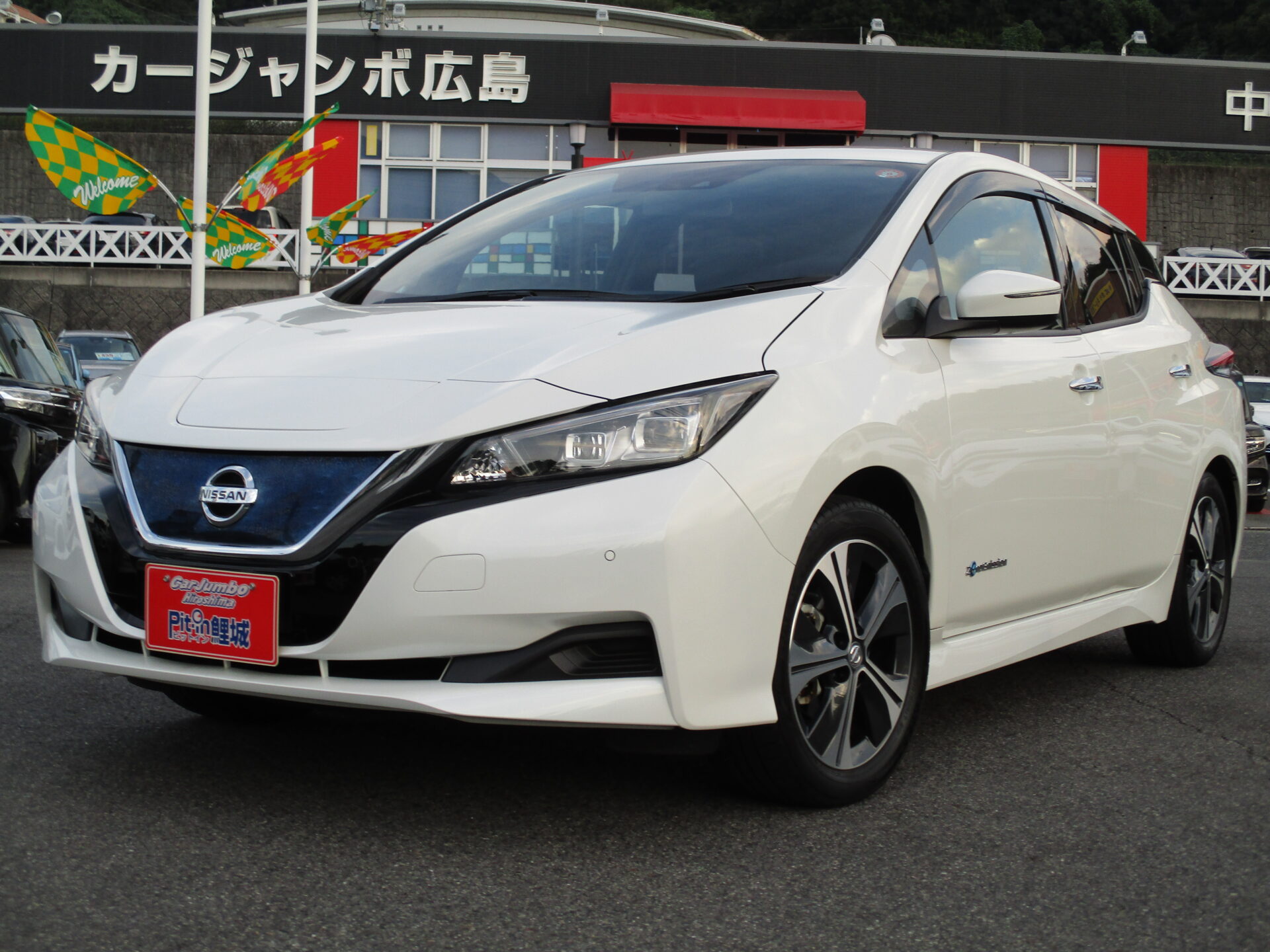 Ｈ３０ｙ　日産　リーフ　Ｘ＿１０万台記念車　ワンオーナー　プロパイロット　純正ナビフルセグ　ＢＯＳＥスピーカー本革シート　全席シートヒーター　ブラインドスポットモニター　クリアランスソナー　Ｂカメラ　ＥＴＣ　純正１７ＡＷ　レーダーブレーキ【188】028745