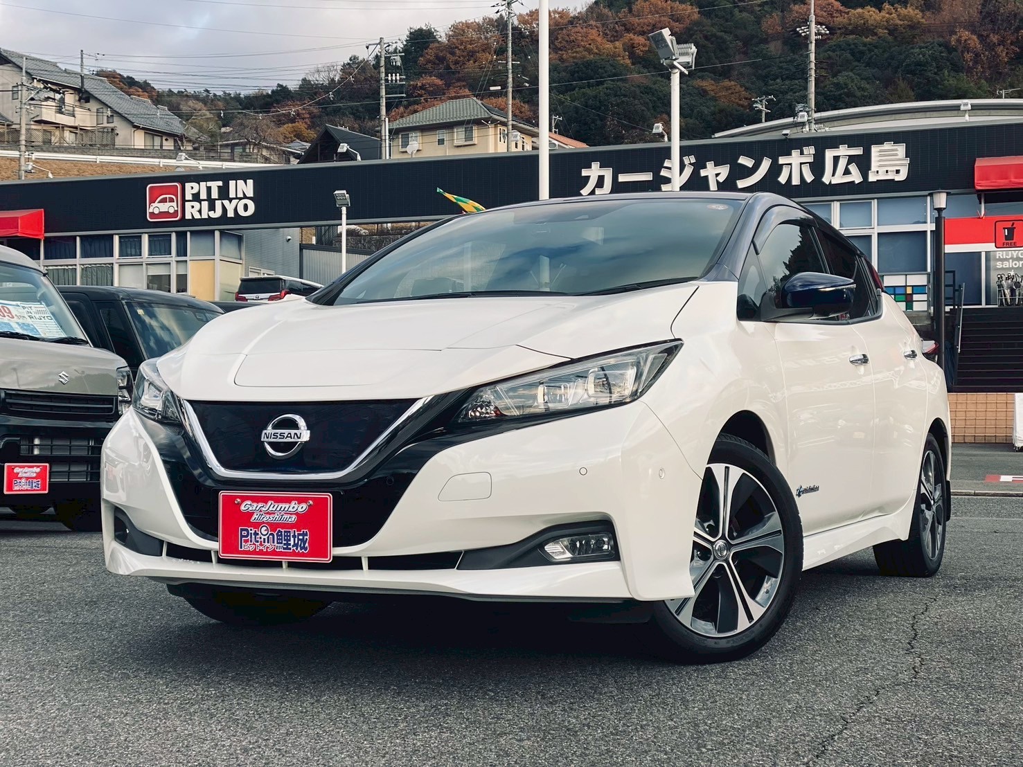 H30年式　ニッサン　リーフ　G　電気自動車/純正ニッサンコネクトナビ／プロパイロット／２トーンルーフ／純正１７インチナビ／インテリジェントルームミラー【005366】【234】