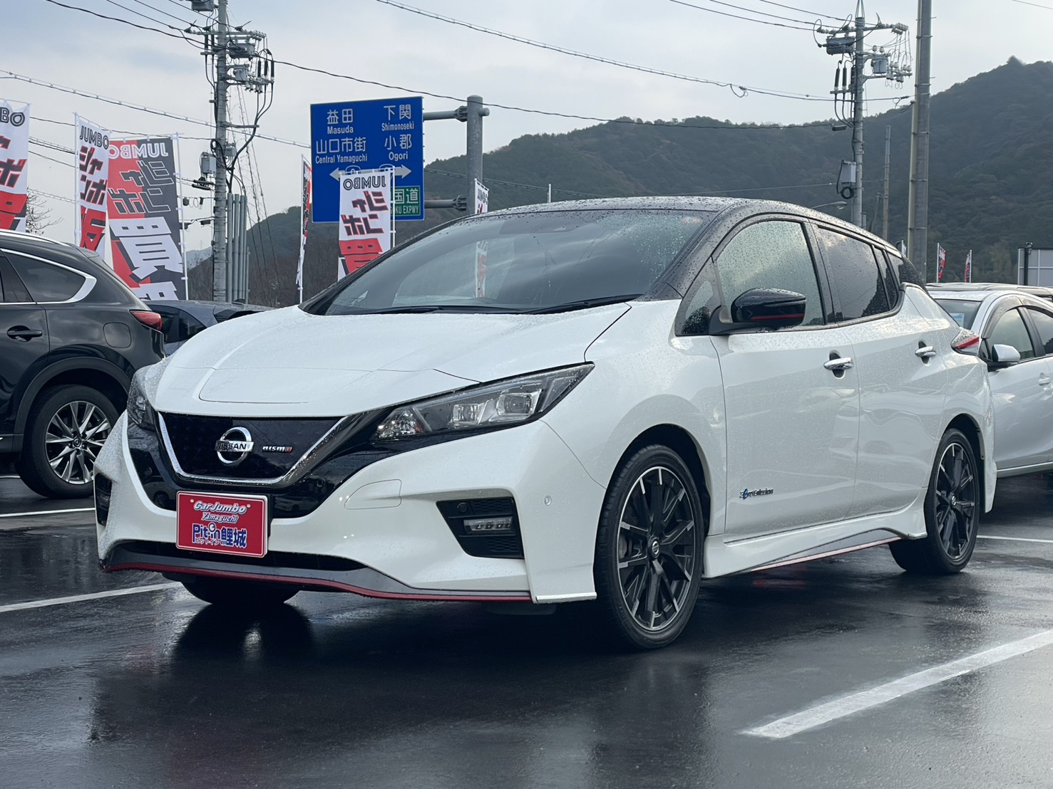 H30年式　ニッサン　リーフ　ニスモ　純正ナビ　フルセグTV　アラウンドビューモニター　LEDヘッドライト　インテリジェントミラー　【49,450㎞】 036635