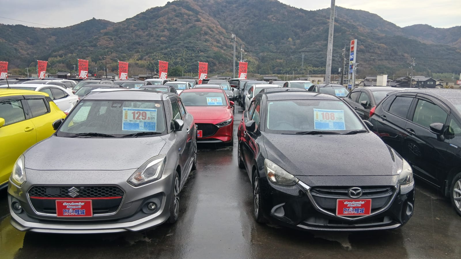 山口の冬の雨：穏やかな美しさ