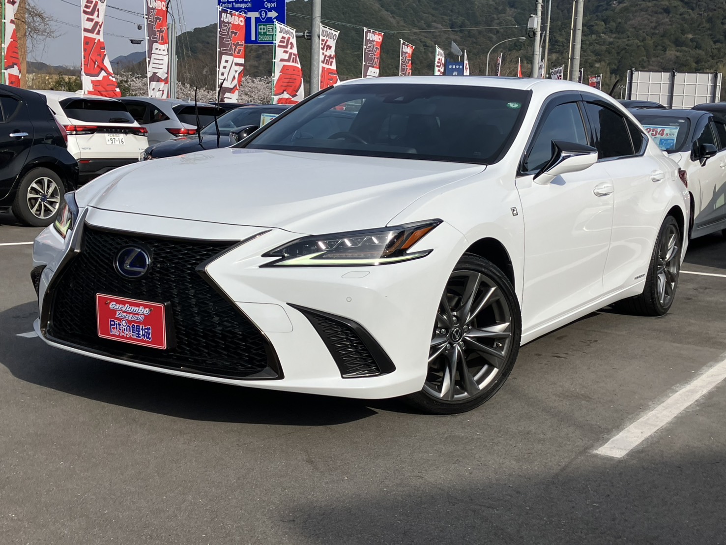 R2年式　レクサス　ES　300h_Fスポーツ　純正ナビ　TV　ムーンルーフ　黒フルレザーシート　ビルトインETC　ステアリングヒーター　前席エアシート　バックカメラ　【48,900㎞】　26-0660