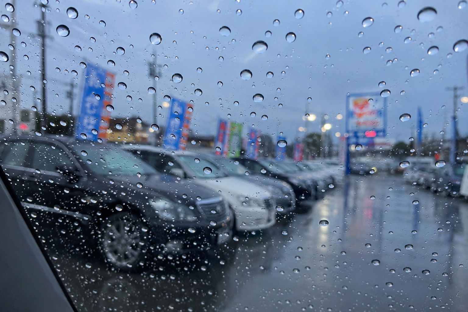 雨の日こそ車選びのチャンス！☔