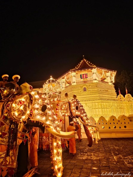 リランカが誇る伝統のお祭り「エサラ・ペラヘラ」✨🐘