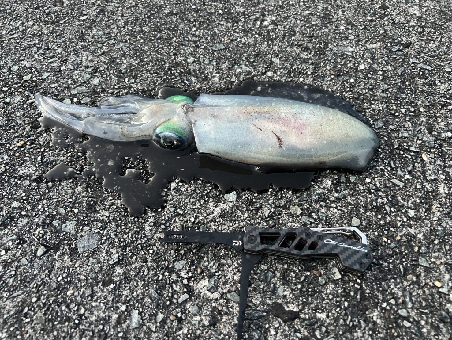 釣果報告